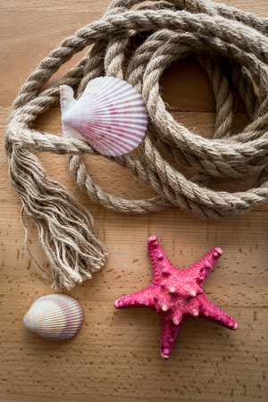 Closeup shot from top of old marine rope and seashells lying on wooden deckの写真素材