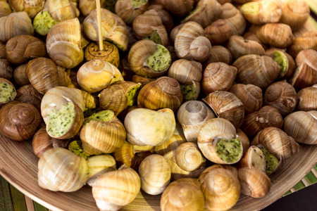 Closeup shot of fresh snails with parsley sauce lying on dishの写真素材