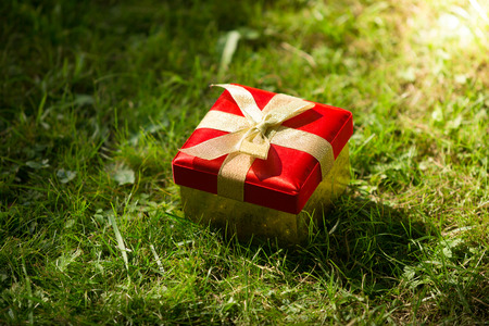 Closeup photo of red gift box lying on meadow at sunny dayの写真素材