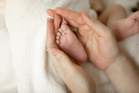Toned photo of newborn baby feet in mothers hands