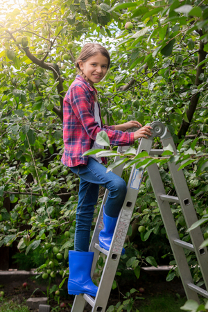 Beautiful smiling girl in checkered shirt climbing up the stepladder at orchardの写真素材