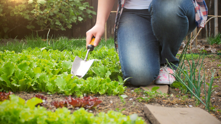 Closeup image of young woman with spade working in garden