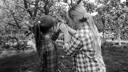Black and white photo of young woman working in orchard with her daughterの写真素材