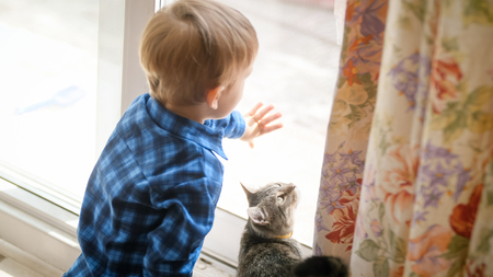 Little toddler boy opens dorr on street to domestic catの写真素材