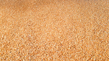 Closeup abstract photo of sand with small stones on the sandy sea beach shoreの写真素材