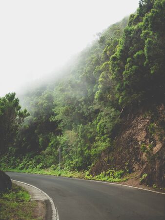 Toned photo of mountain road going through clouds or dense fog
