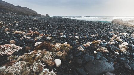 Toned photo of deserted rocky sea beach at cloudy and windy dayの写真素材