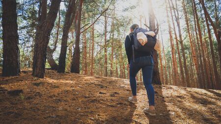 Toned image of young woman hiking in forest and climbing up the hill