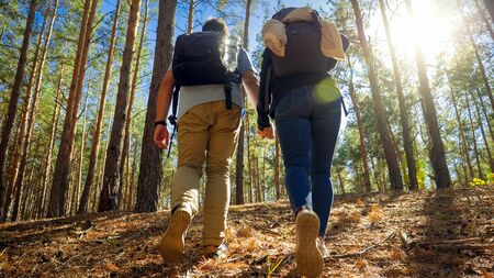 Rear view image of young man holding his wife by hand while travelling and hiking in forestの写真素材