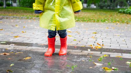 Closeup photo of childs feet in red rubber boots walking over big puddle at parkの写真素材