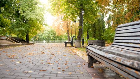 Beautiful landscape of autumn park with old wooden benches after rain