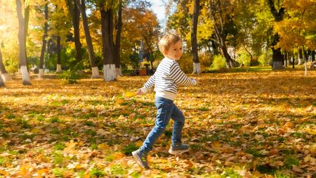 Happy smiling boy running in autumn park covered with fallen golden leavesの写真素材