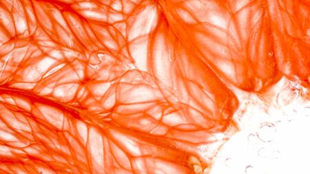 Macro photo of orange pulp structure. Pulp and juice of grapefruit over white background. Abstract background of exotic tropical fruits and berriesの写真素材