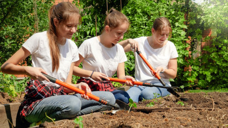 Two girls helping mother working in garden and cultivating soil at garden bed. Family working together at house backyard or farm. Growing healthy and organic vegetables at homeの写真素材