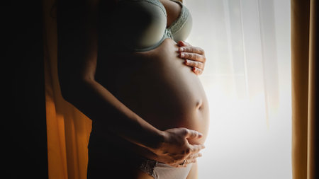 Toned shot of pregnant woman in bra and panties holding and stroking her big belly at window in...