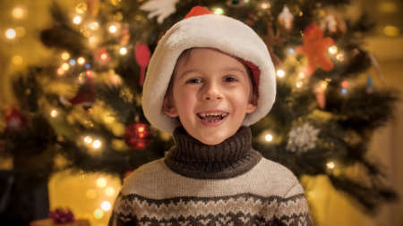 Portrait of cheerful boy smiling and laughing in camera next to Christmas tree at house. Families...