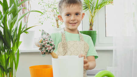 Smiling little boy gardening at home and planting flowers in plastic potsの写真素材