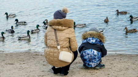 Little boy with mother throwing bread to ducks in pond on cold winter dayの写真素材