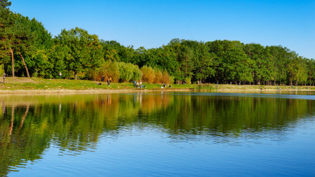 Trees and blue sky reflecting in lake at park on sunny autumn day. Fall in the city.の写真素材