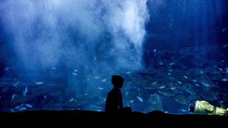 Little boy sitting on bench in aquarium and looking on sea life. 23rd of March, 2023, Istanbul,...