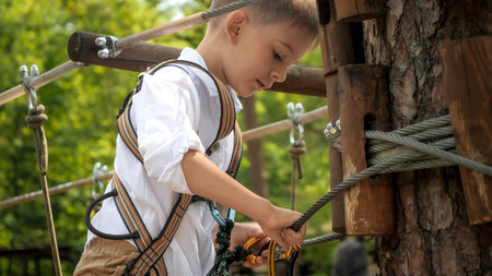 Little boy clamping safety rope hooks to the tree while climbing in rope adventure park. Active childhood, healthy lifestyle, kids playing outdoors, children in natureの写真素材