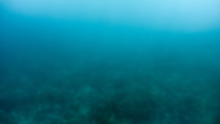 Abstract blurred shot of swimming over the coral reefs and sea bottom lit by sun rays shining through ocean surface.の写真素材