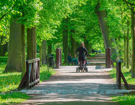 mother pushing baby stroller in parkの写真素材