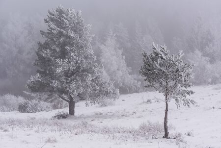 Low Beskids in winterの写真素材