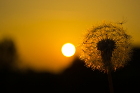 are walking early in the eveningの写真素材