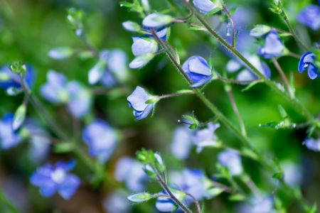 Morning Walkの写真素材