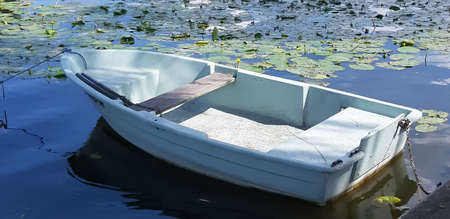 A boat on the shores of the lake.