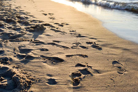 Footprints on a seaside beach.