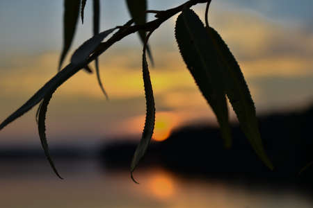 Sunset over the water.の写真素材