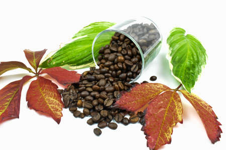 Unground coffee and colorful leaves.の写真素材