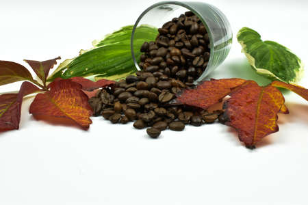 Unground coffee and colorful leaves.の写真素材