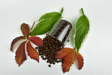 Unground coffee and colorful leaves.