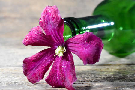 Green wine bottle.の写真素材