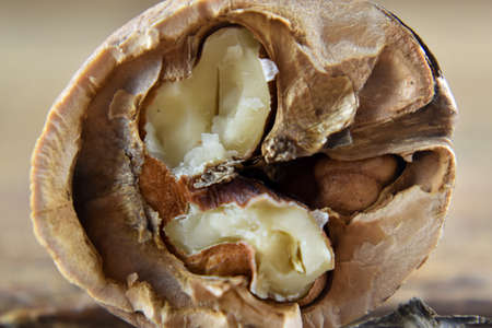 Broken walnuts.
