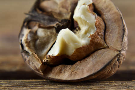 Broken walnuts.