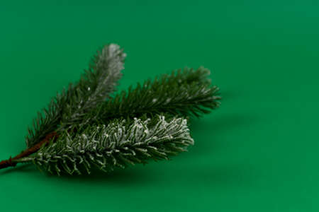 Green Christmas tree branches with colorful Christmas decorations.の写真素材