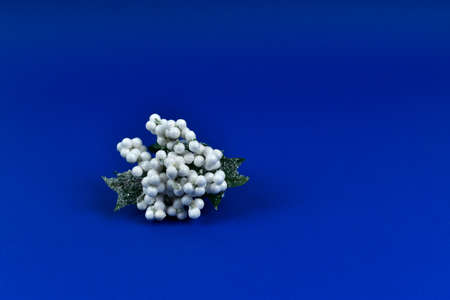 A small bouquet of flowers, on a blue background.の写真素材