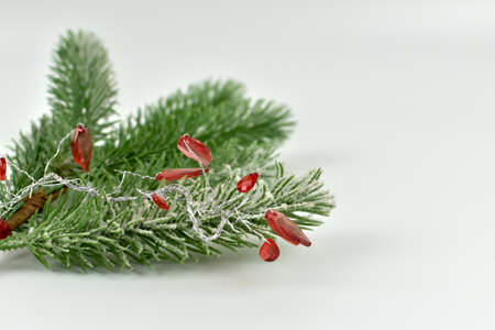 Green Christmas tree branches with colorful Christmas decorations.の写真素材