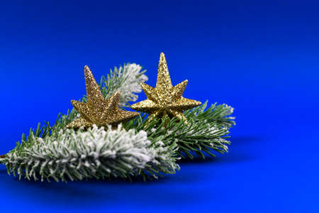 Green Christmas tree branches with colorful Christmas decorations.の写真素材