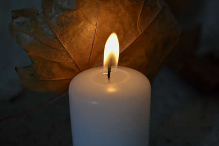 Candle with autumn leaves on the background. Selective focus.の写真素材