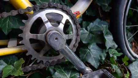 Bicycle chain and gear close-up. Bicycle chain and gear detail.の写真素材