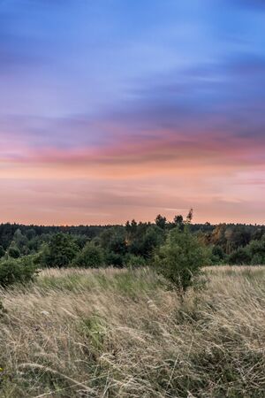 beautiful sunset over the meadowの写真素材