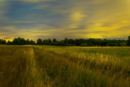 road in the field at nightの写真素材
