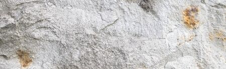 Structure of a stone slab of limestoneの写真素材