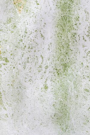 white card with green paint.の写真素材