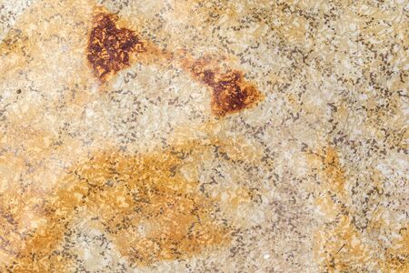 light brown lining with black spots .texture.の写真素材